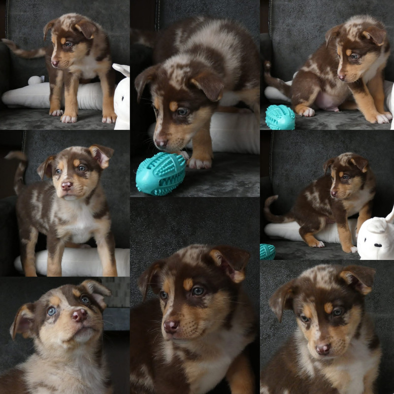 21689FE5-CE2C-4CA5-8036-F6DA6EB32A9D