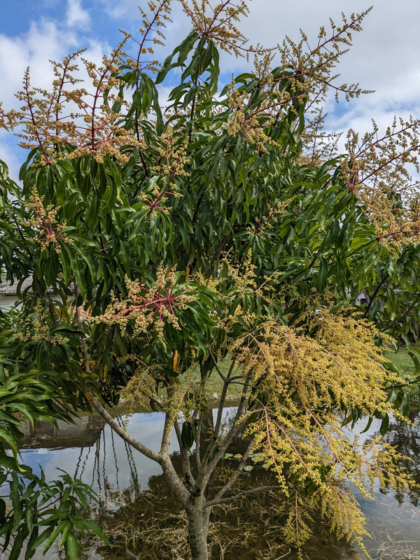 PXL_20230218_174738931