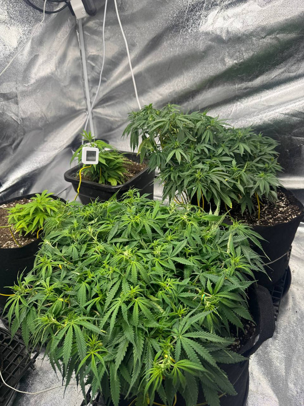 photo 2026 02 12 00 48 29