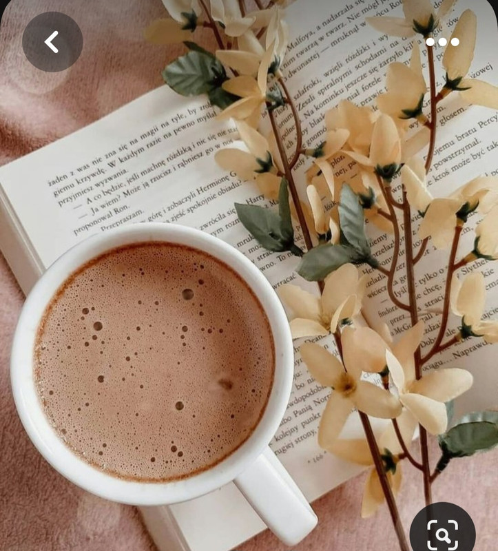 Screenshot_20230616_125046_Pinterest