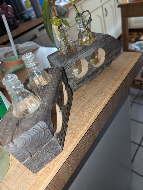 PXL_20250314_214022286[1]