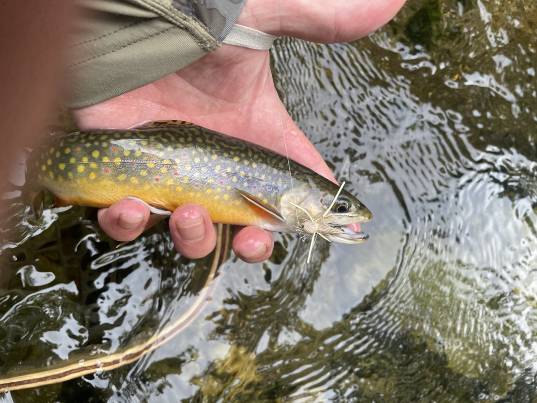 687C5AD8-9918-4BA3-863C-5FBD53635369