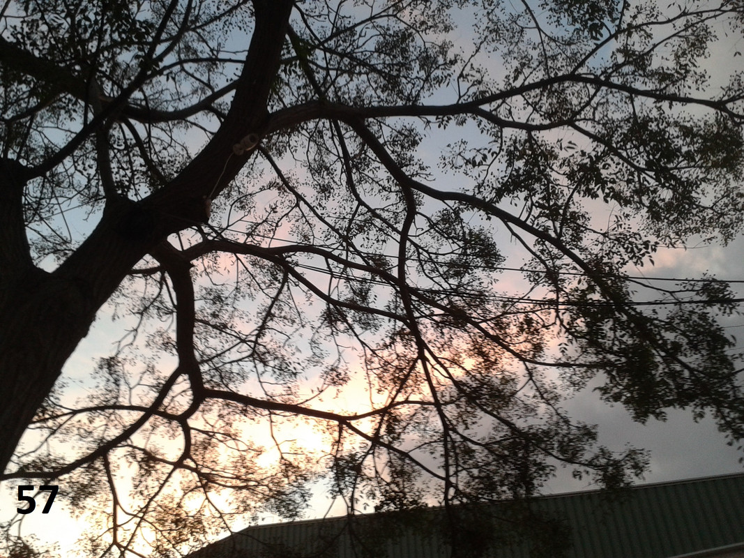 57 ZURGENA_PARK_SUNSET_