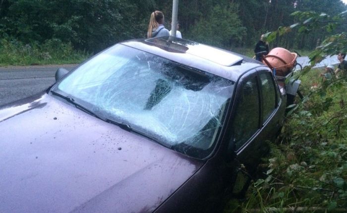 «Хуже быть не может»: 30 фотографии, которые докажут, что у Вас был не самый худший день