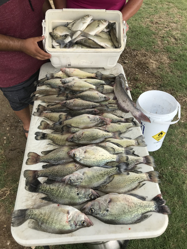 03974806-080D-446F-AF1C-6B4C1CF3D10F