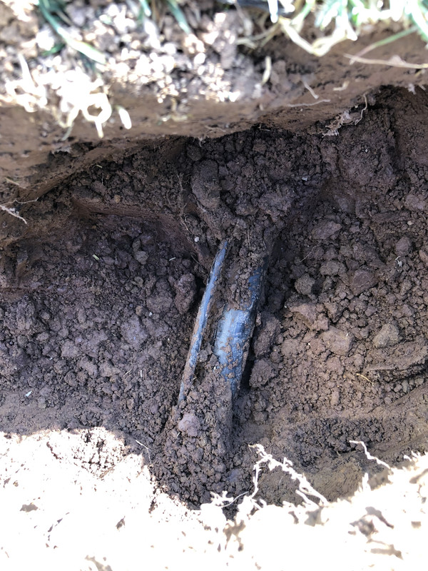 D487ECAF-8C61-4D5D-8F98-E83C83C54F86