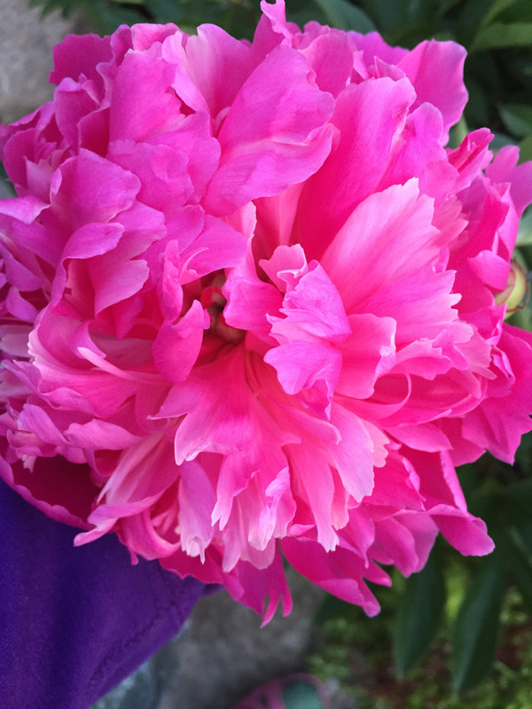 30666C2A-AC88-467C-BCEB-8F539717974B