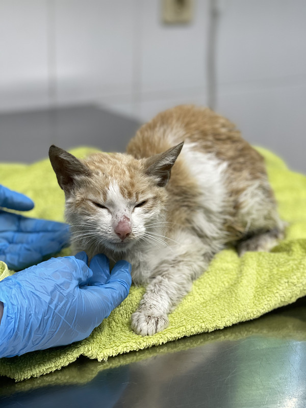 84DFF0DA-901A-4247-AF75-3B37DFA3FA39