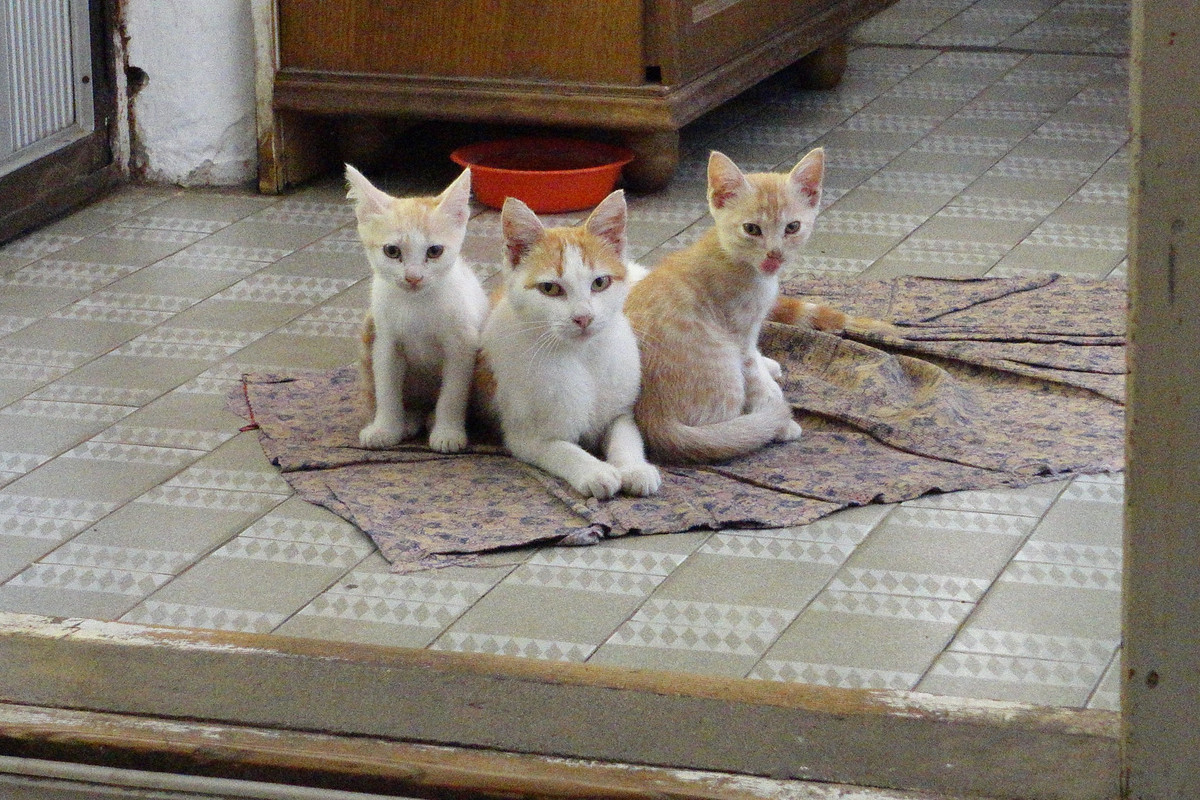 DSC03744.jpg