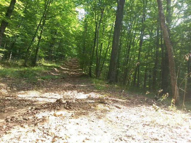 11721897_1619100075034414_1045936017_n