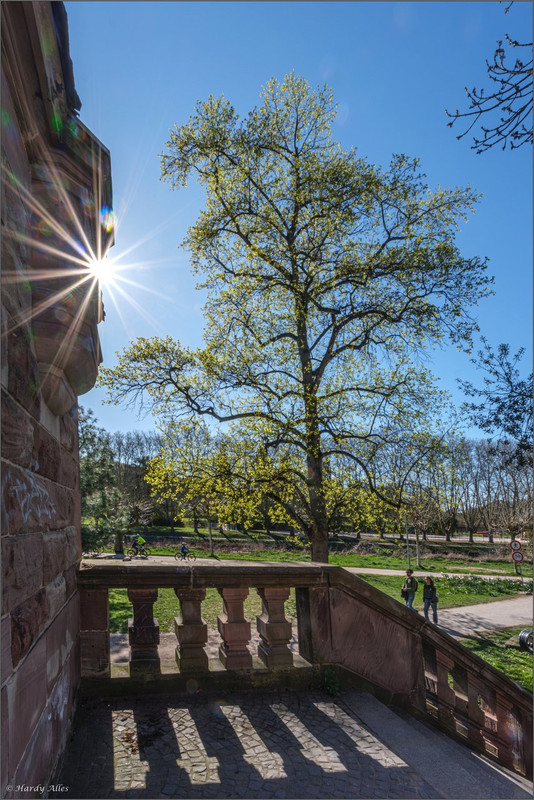 XT5A7839-Verbessert-RR  2025 SB Staden LR ERWZ FB