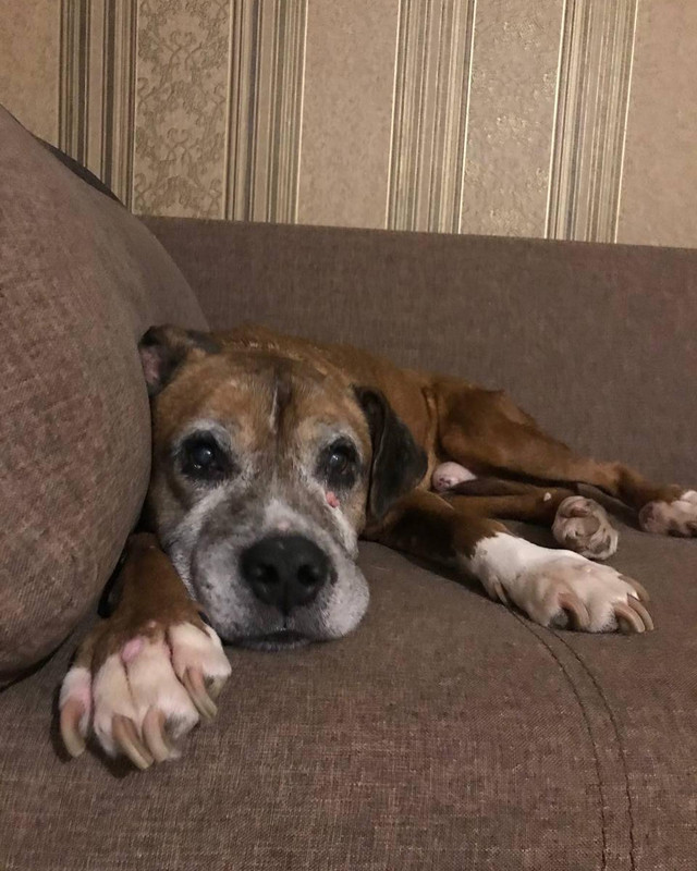 C55F4C98-6177-4B34-933C-DF685E944623