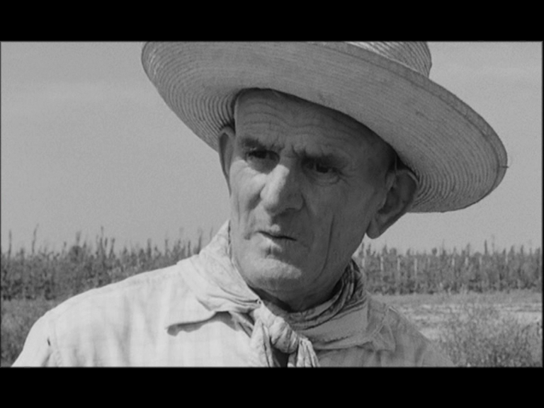 vlcsnap-2018-08-29-12h55m27s225