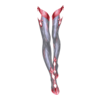 https://i.postimg.cc/Y9Rfvvxw/da53b12ff2eefcd074a2b3b4418da04f-1604531031.png