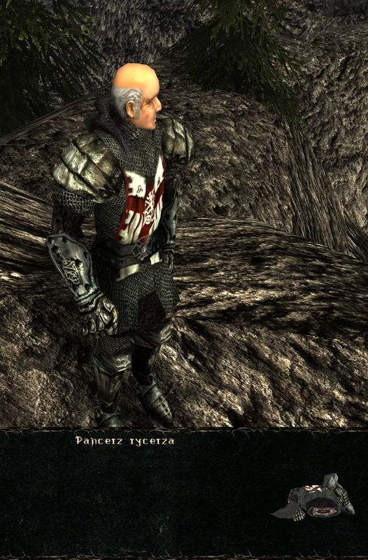 pancerze i ubrania (13)