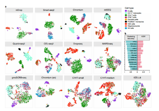 13种scRNA-seq技术基准测评报告-5.png