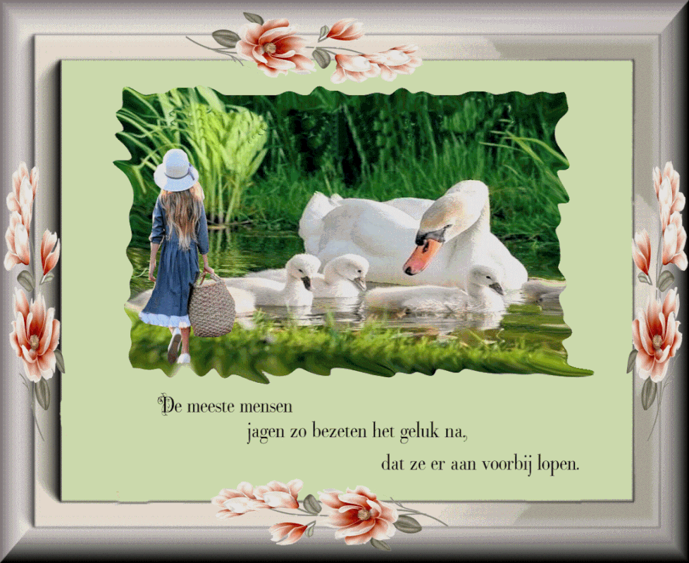 plaatje-10-juni-2021