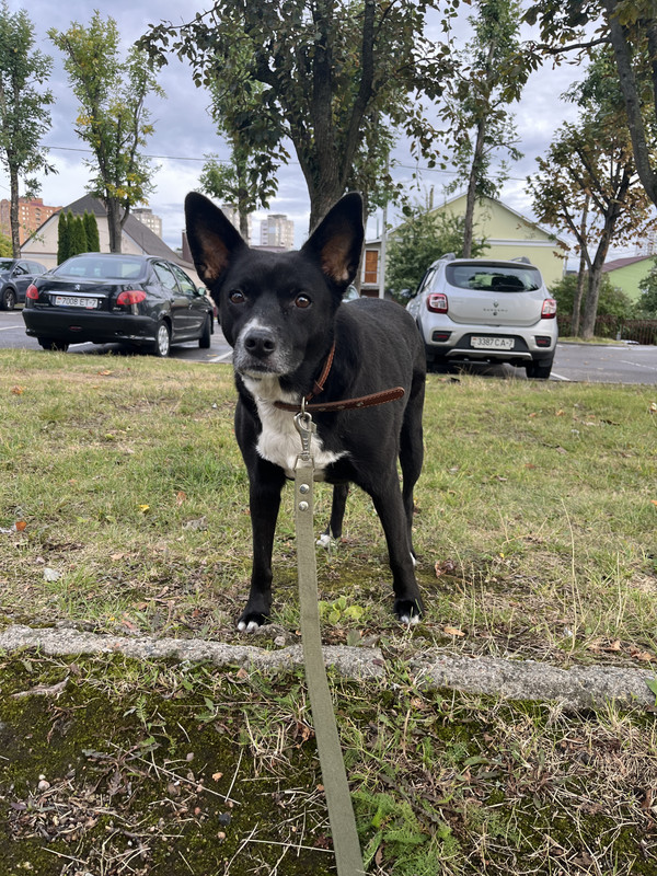 0E5DBA27-0706-4A0B-85F4-A2437804BD96