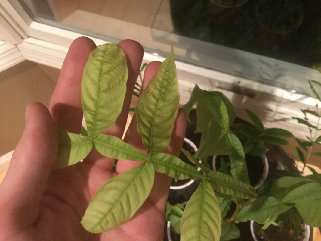 8DAD7ED0-4DDE-438F-869F-9A2C2718DD6E