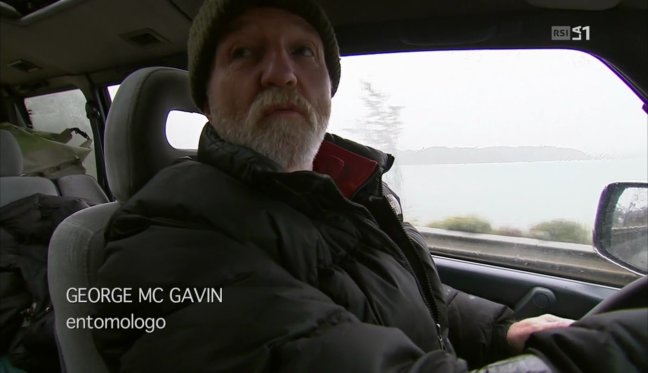 vlcsnap-2017-04-07-14h21m00s753