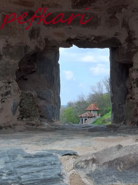 Slika