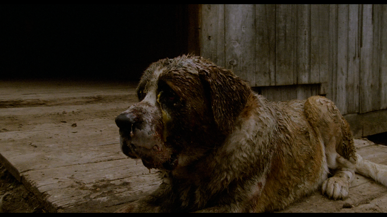 Cujo.1983.2160p.UHD.BDREMUX.HDR.DV.HEVC-Нечипорук.mkv_snapshot_00.52.46.538