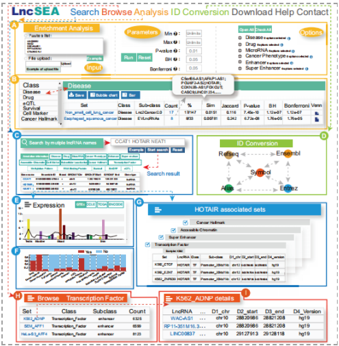 lncRNA注释和富集分析-2.png