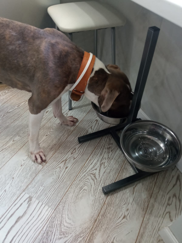 6B23D98D-DB7C-45E3-B16A-1A98A548EC4E