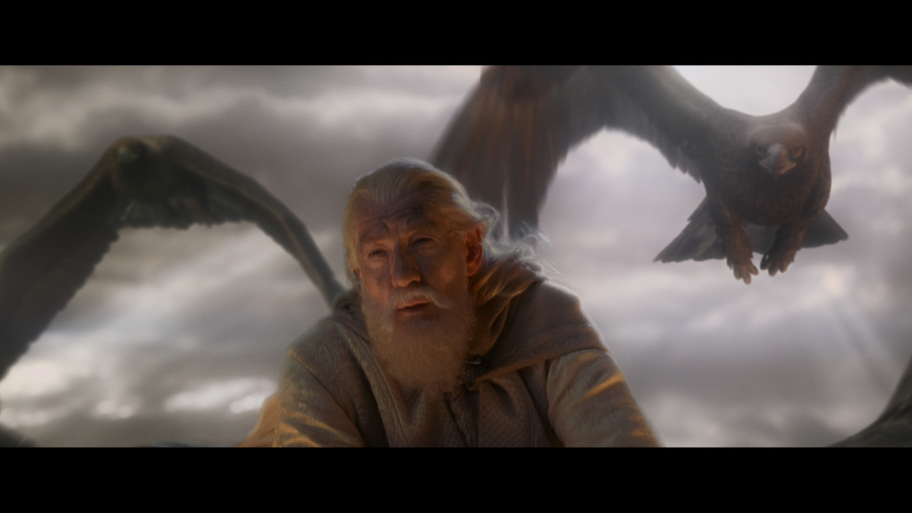 The Lord of the Rings- The Return of the King (EXT.) PT. 2.mkv_snapshot_01.32.09_[2020.12.19_22.08.5