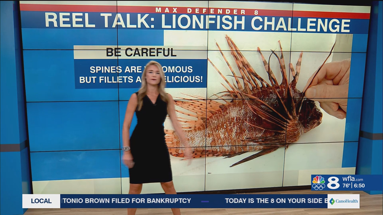 NewsChannel 8 Today at 6a_20240524_11001200.ts_snapshot_00.51.33.338