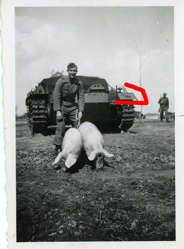 Russland StuG Sturmgeschütz Abteilung 203 Tank S