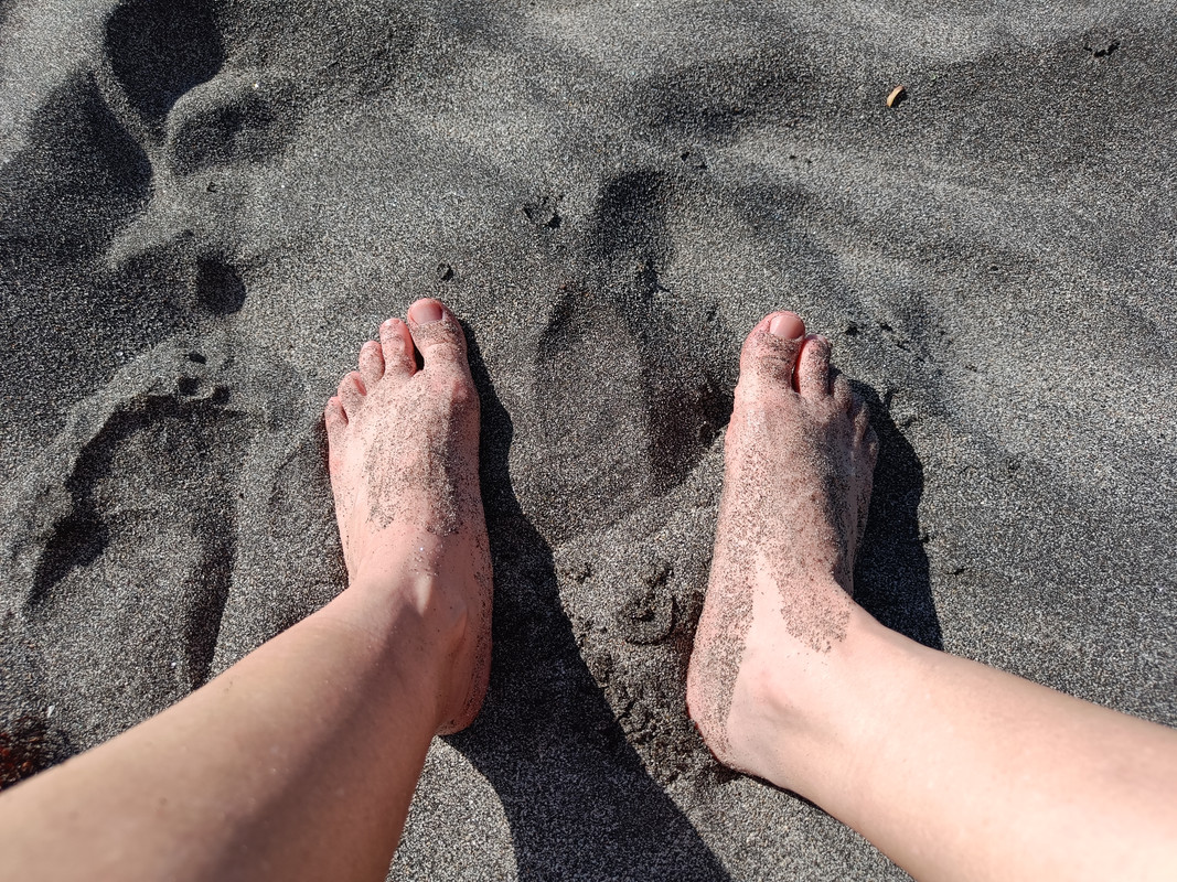 28-03-2023 plage Saint Pierre (5)