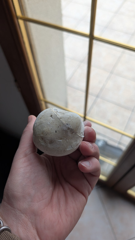 PXL 20251204 104531594