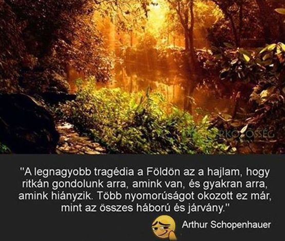 https://i.postimg.cc/Y9TwRc4w/a-legnagyobb-tragedia.jpg