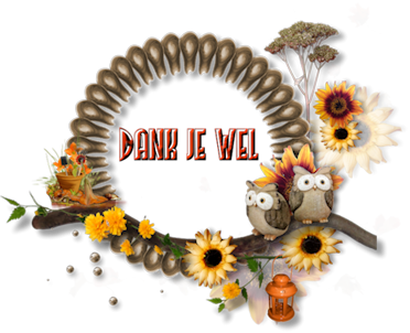 Les 03 - Autumn Djw23