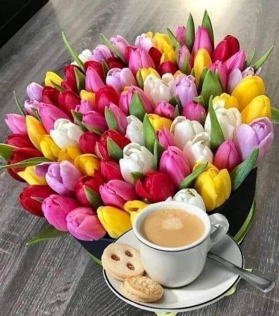 326864646_5924086714335079_8242639343035291653_n