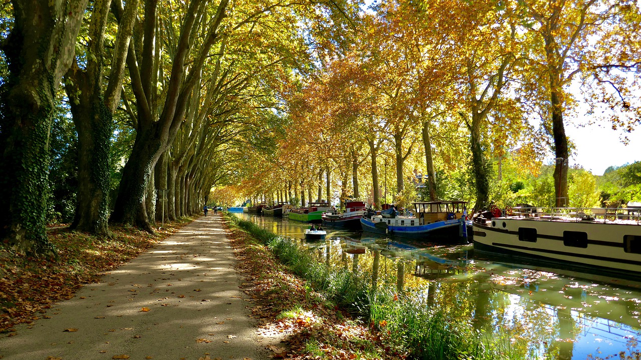 green-canal-nature-6752421-1280.jpg