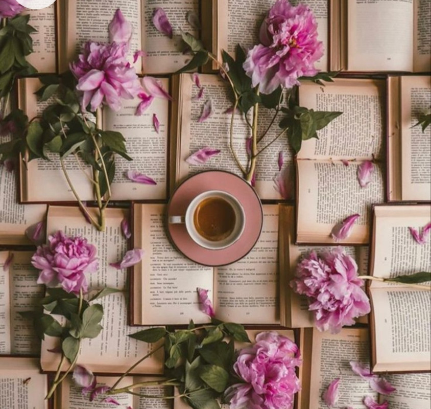 Screenshot_20221214-000406_Chrome