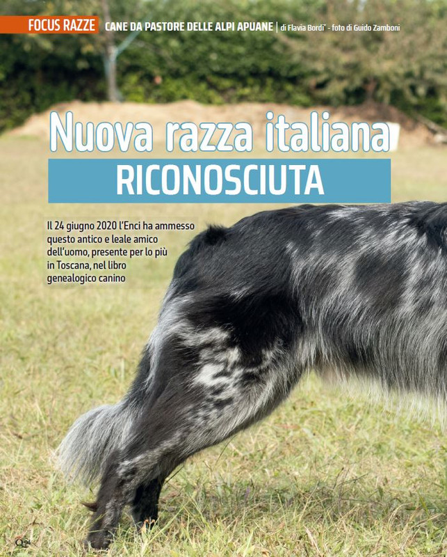 QuattroZampe Mar 2024 (9)