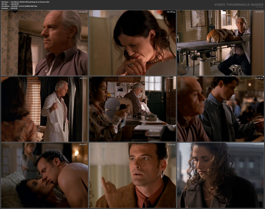 Providence S01E03 All Good Dogs Go to Heaven.mkv
