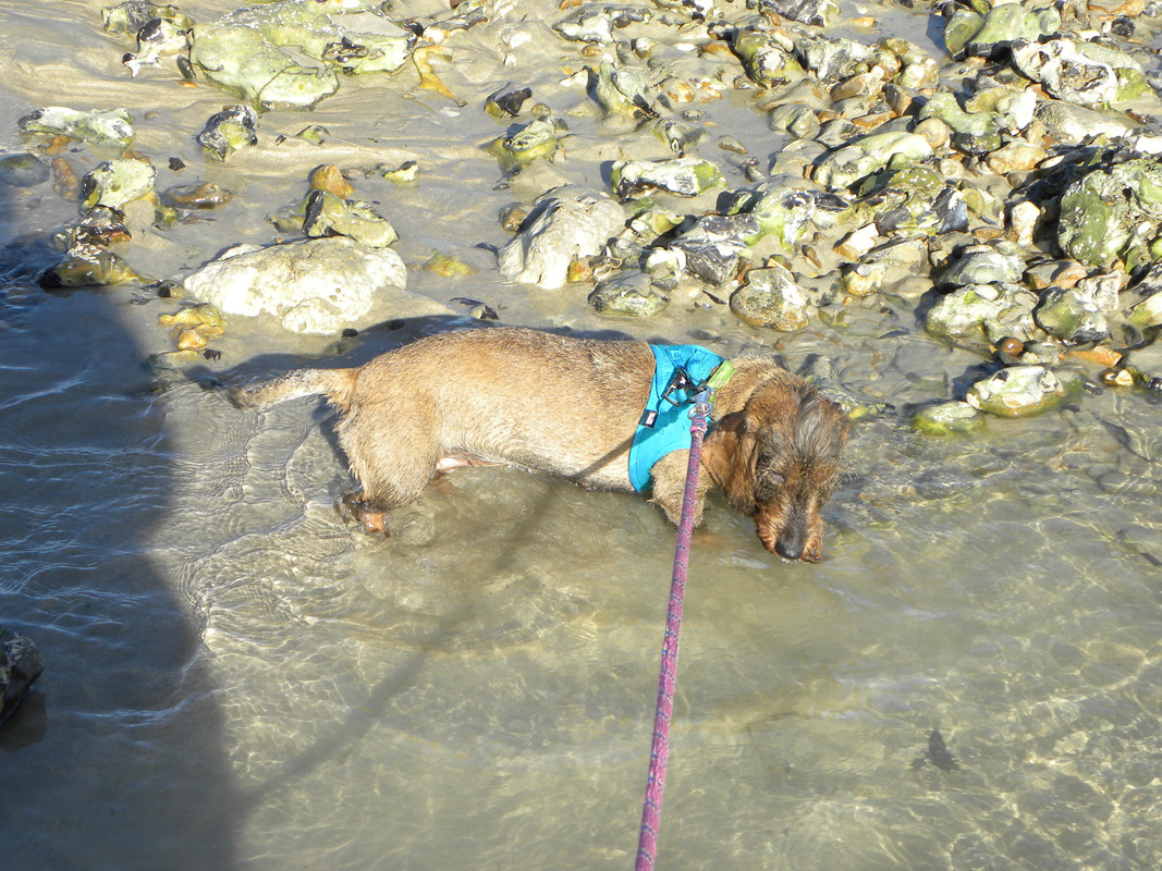 [Image: DSCN9547.jpg]