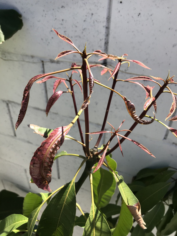 6D343458-C597-4C26-9110-0446E17EABB0