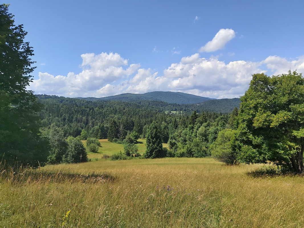 20210714-114053-r.jpg