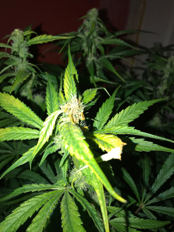 BAB21B0A-4173-4D20-AC72-4A5EEB27A2F6