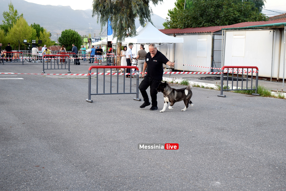 παρκο σκυλιαDSC_0946