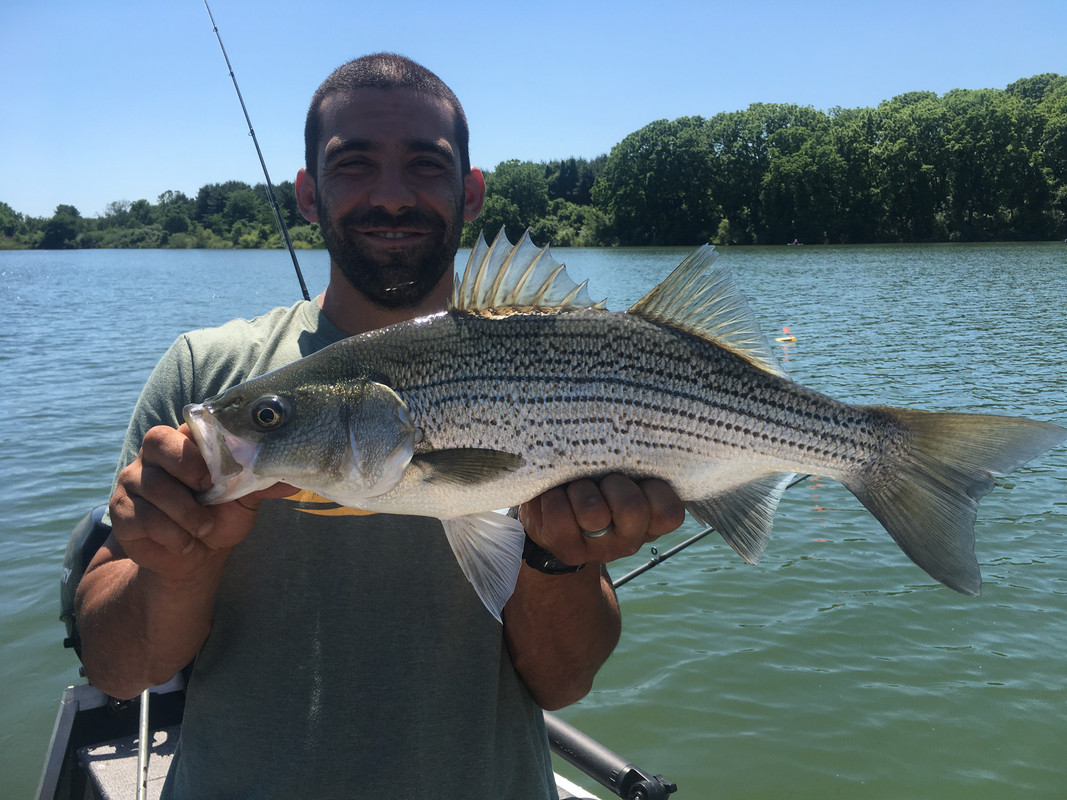 45BDD748-D788-4AFB-B8F0-F2E4DA5635E7