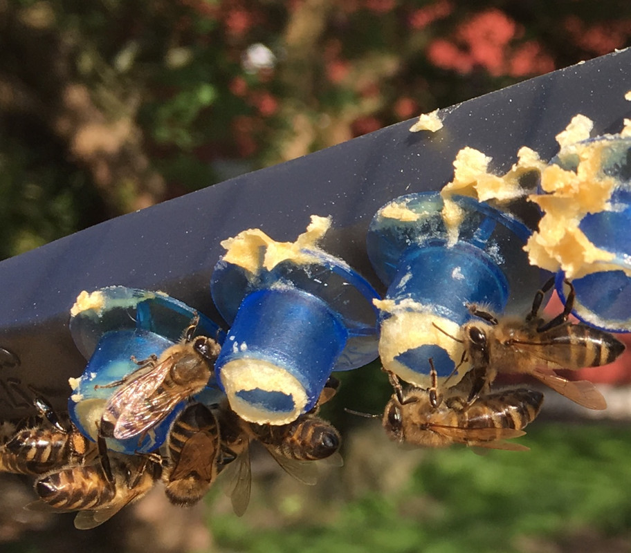 AABC39CD-DAFB-47C6-A071-42A33B7137E9