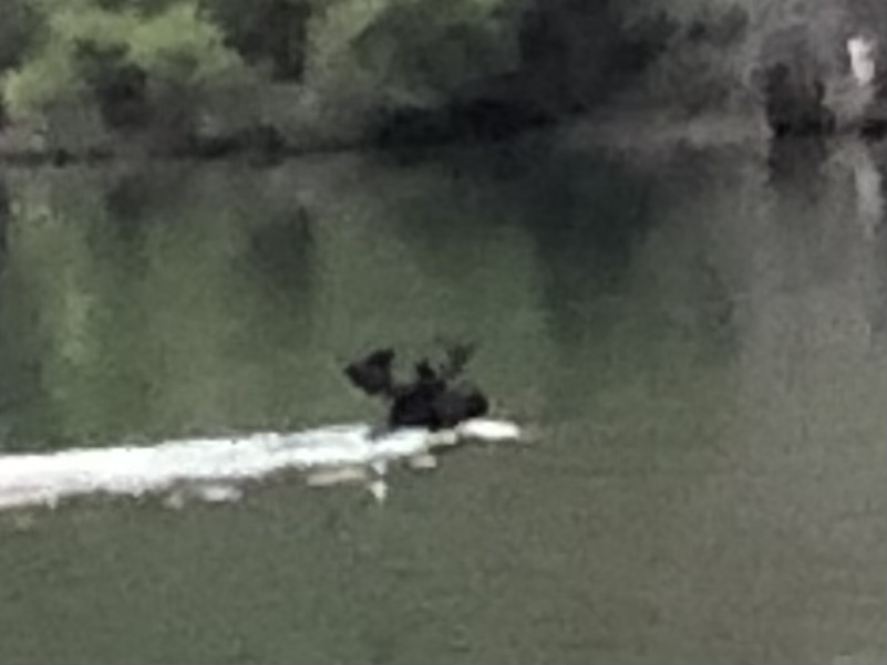 0E46710F-97D9-43DD-A660-A3C59FAF4B9B