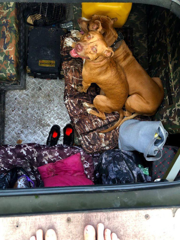 C6632DC2-1E45-484A-9794-663F26530532