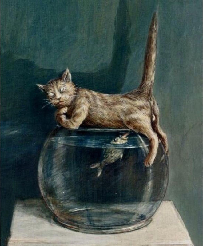 480541700-1052273776938444-1544594127927821687-n